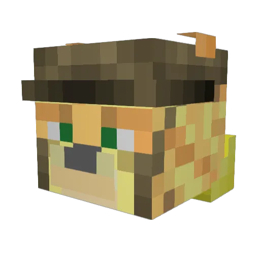 lnbbw7 Minecraft avatar head, 3D render