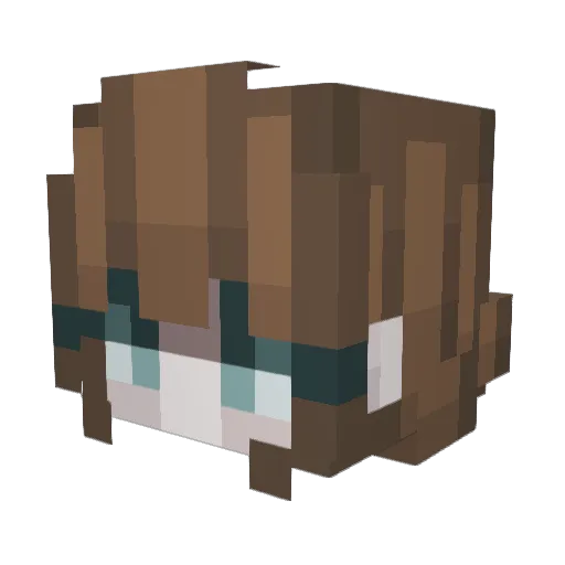 lnburkey Minecraft avatar head, 3D render