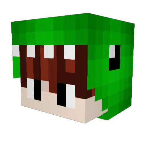 lndlan Minecraft avatar head, 3D render