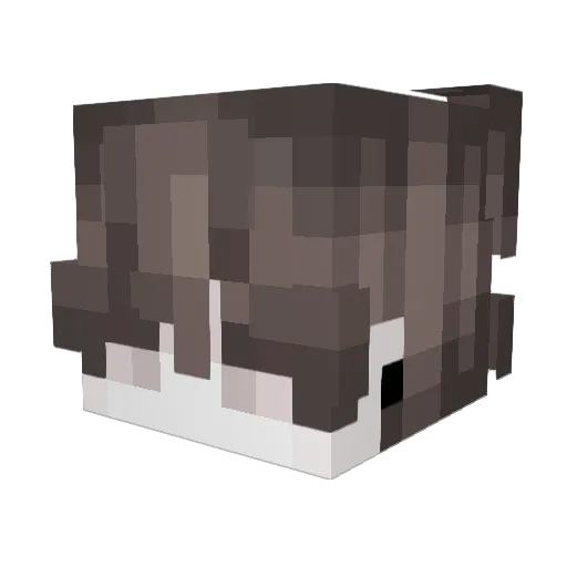 lnerc Minecraft avatar head, 3D render