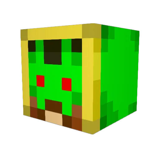 lnf_uck Minecraft avatar head, 3D render