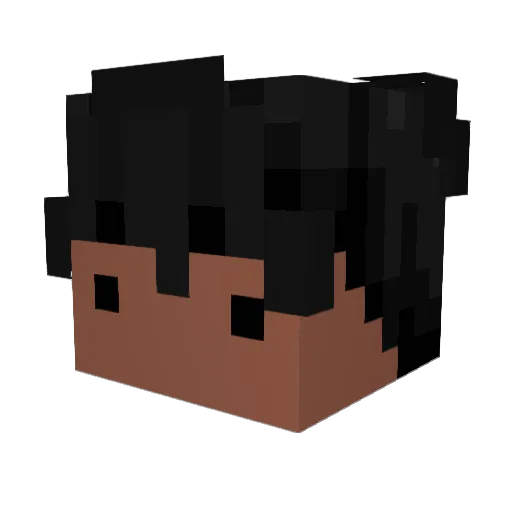 lnflicted Minecraft avatar head, 3D render