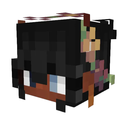 lnoul Minecraft avatar head, 3D render