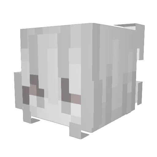 lnudire Minecraft avatar head, 3D render