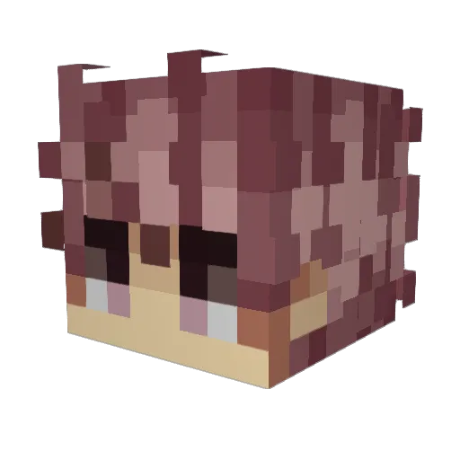lnvzn Minecraft avatar head, 3D render