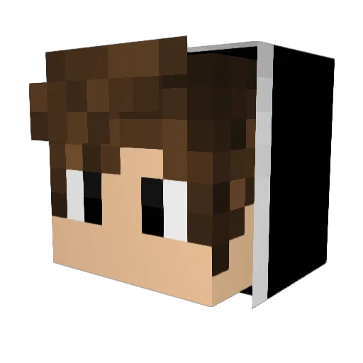 lnwterkz Minecraft avatar head, 3D render