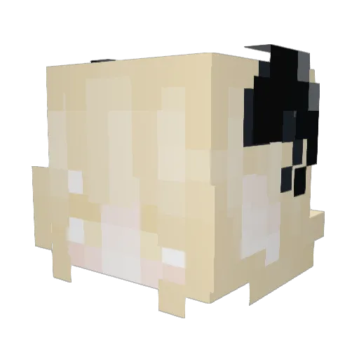 loafofbwed Minecraft avatar head, 3D render
