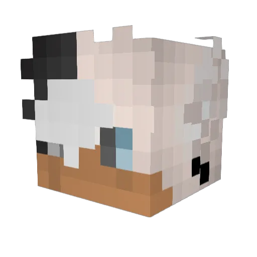 loanwolf2022 Minecraft avatar head, 3D render