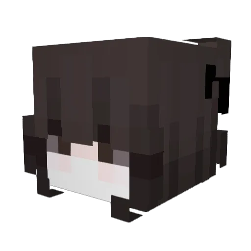 loav Minecraft avatar head, 3D render