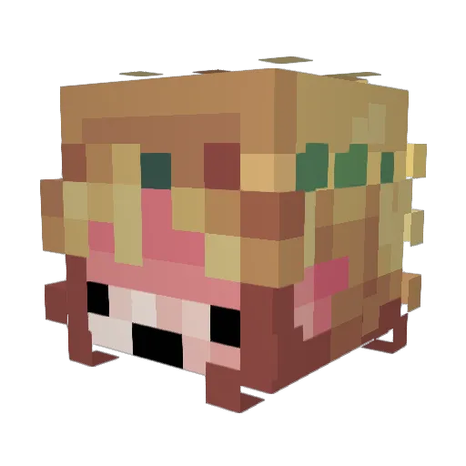 lobussupercool Minecraft avatar head, 3D render