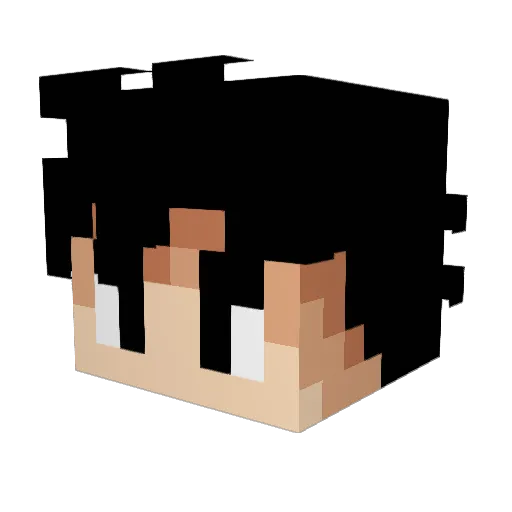 local_felon Minecraft avatar head, 3D render