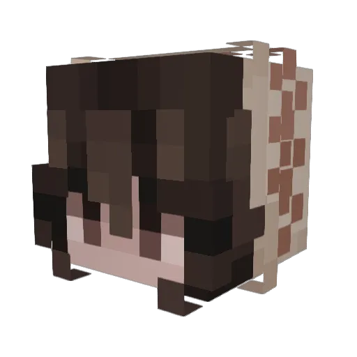 local_grim Minecraft avatar head, 3D render