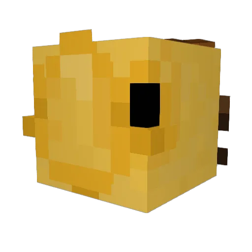 localdisks Minecraft avatar head, 3D render