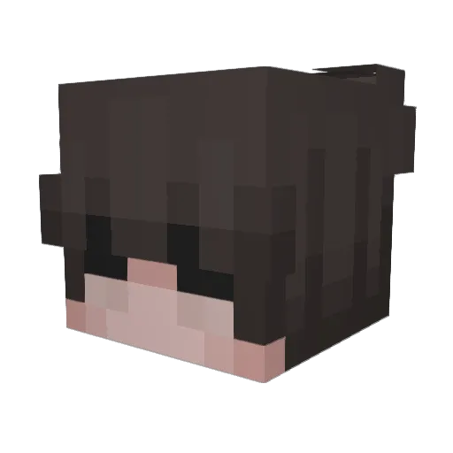 localsimpmagnet Minecraft avatar head, 3D render