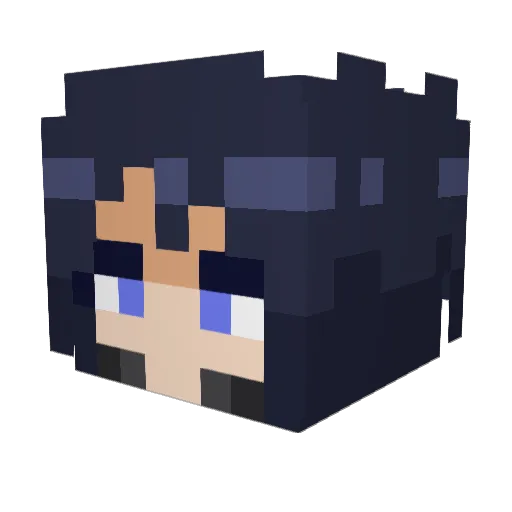locandragon64 Minecraft avatar head, 3D render