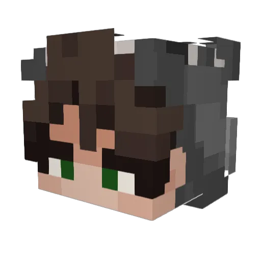 locaru Minecraft avatar head, 3D render