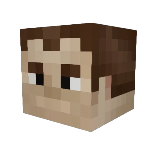 lochlan99miner Minecraft avatar head, 3D render