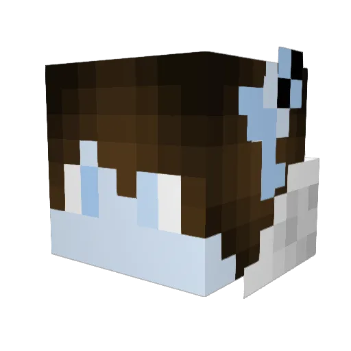 lockeweisz Minecraft avatar head, 3D render