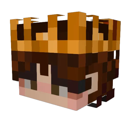 locki_lcr Minecraft avatar head, 3D render