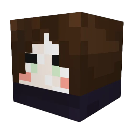 locky2333 Minecraft avatar head, 3D render