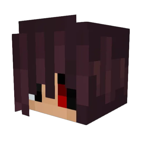 locospolus Minecraft avatar head, 3D render