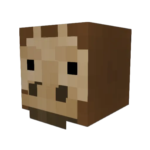 lodgedsquash Minecraft avatar head, 3D render