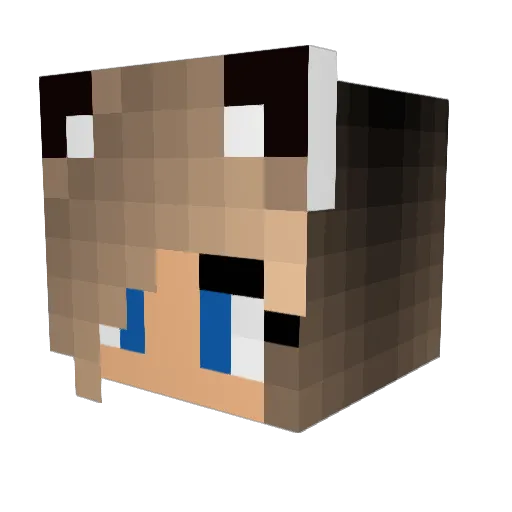 loeki05 Minecraft avatar head, 3D render