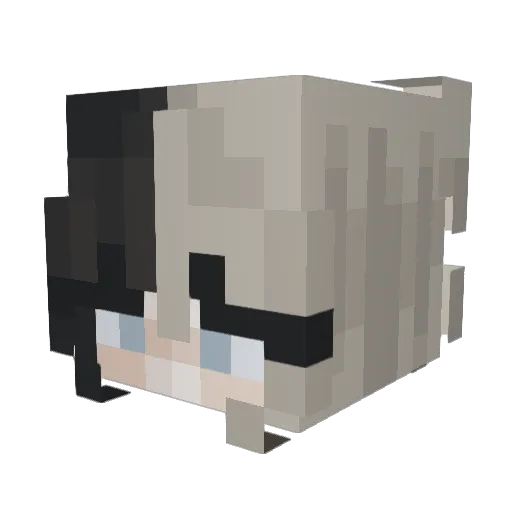 loffiee Minecraft avatar head, 3D render
