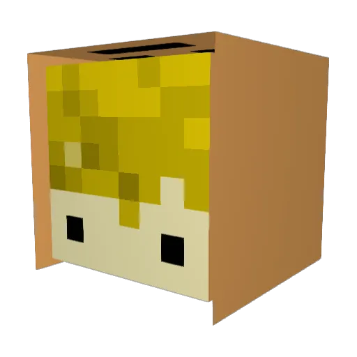 lofisniper Minecraft avatar head, 3D render