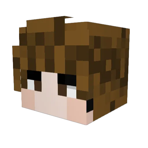 log1412 Minecraft avatar head, 3D render