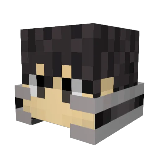 logan10011111 Minecraft avatar head, 3D render