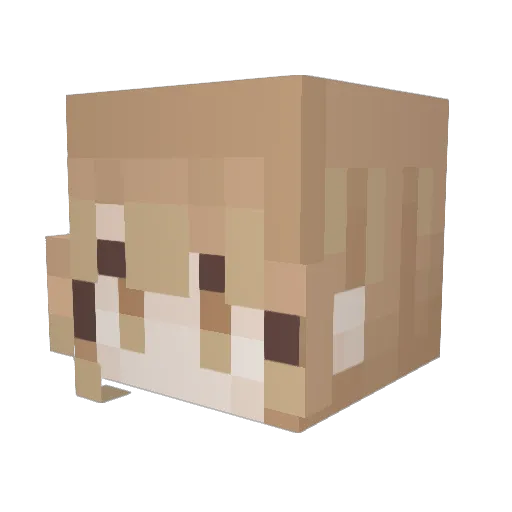 logan1214 Minecraft avatar head, 3D render
