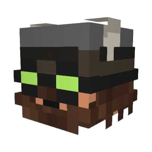 logan21113 Minecraft avatar head, 3D render
