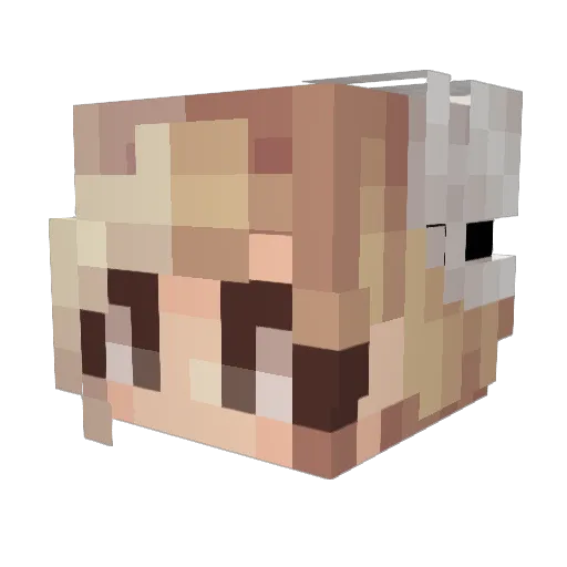 logan2k2 Minecraft avatar head, 3D render