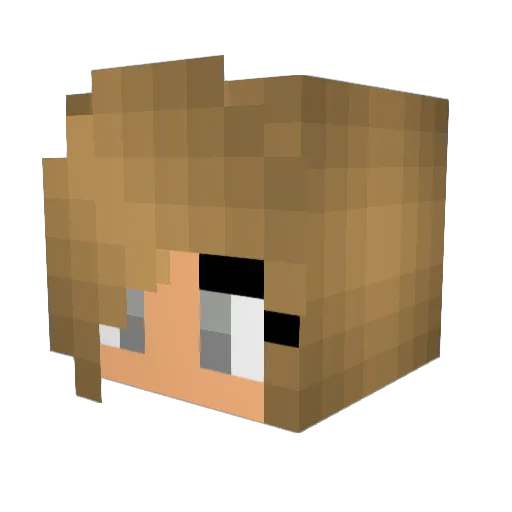 logan9502 Minecraft avatar head, 3D render