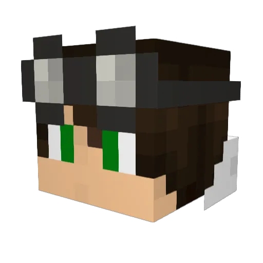 loganT27 Minecraft avatar head, 3D render