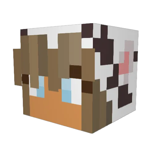 loganbellaire13 Minecraft avatar head, 3D render