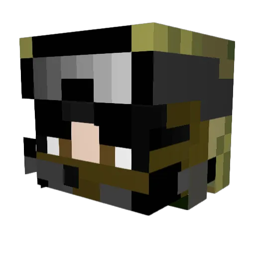 loganbest4155 Minecraft avatar head, 3D render
