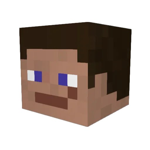 loganfrank1313 Minecraft avatar head, 3D render