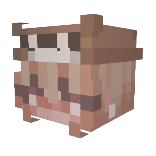 loganonlaptop Minecraft avatar head, 3D render