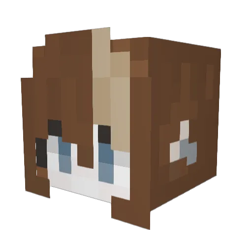 loganthepleb Minecraft avatar head, 3D render