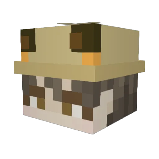 logman0069 Minecraft avatar head, 3D render