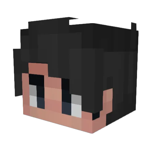 lohaus Minecraft avatar head, 3D render