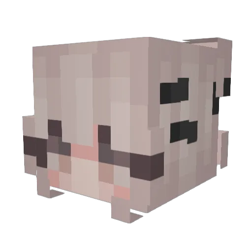 loiwter Minecraft avatar head, 3D render