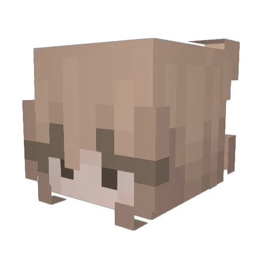lojen_ Minecraft avatar head, 3D render