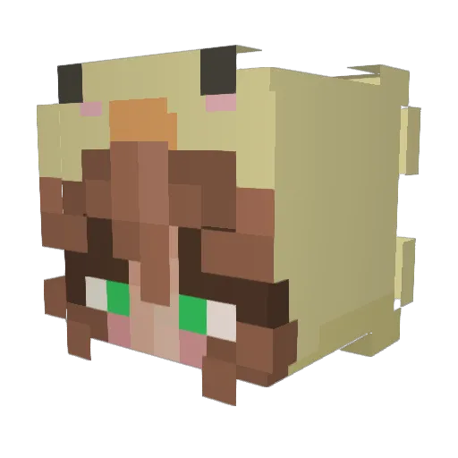 loki6647 Minecraft avatar head, 3D render