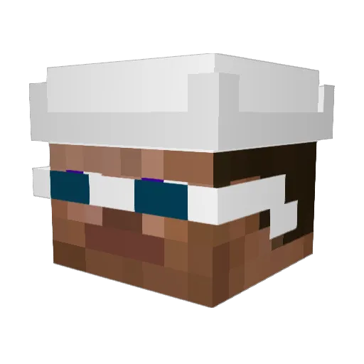 lokiganiafoki Minecraft avatar head, 3D render