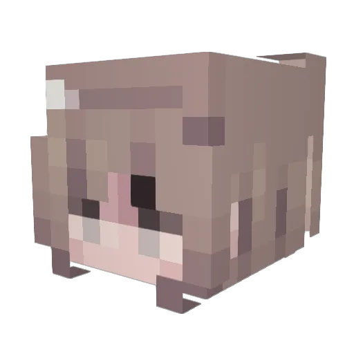 lokisey Minecraft avatar head, 3D render