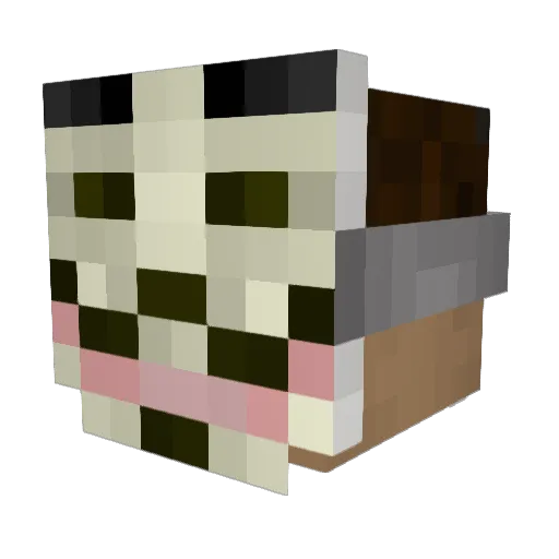 lokito2002 Minecraft avatar head, 3D render