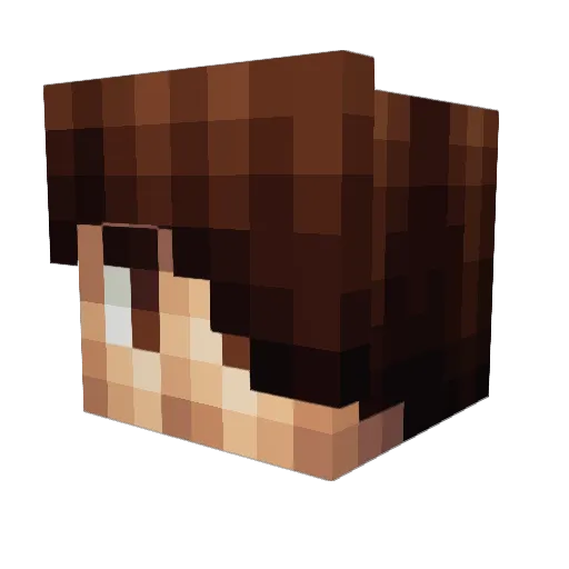 lol00lol22 Minecraft avatar head, 3D render